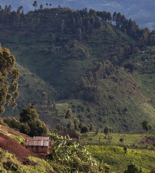 IntoAfrica-Destinos-Ruanda-Destacada-min